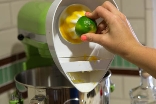 limetka na citrusovai pro kuchysk robot kitcehnaid artisan